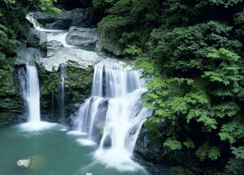 湘西州医保局召开2024年医疗保障工作务虚会